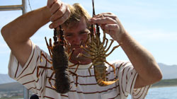 Cuda 2, Hermanus Fishing Charters
