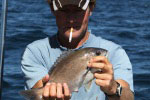 Cuda 2, South Africa Fishing Charters, Hermanus