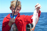 Cuda 2, South Africa Fishing Charters, Hermanus