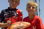 Cuda 2, South Africa Fishing Charters, Hermanus