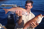 Cuda 2, South Africa Fishing Charters, Hermanus