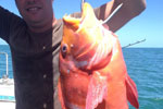 Cuda 2, South Africa Fishing Charters, Hermanus