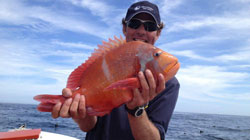 Cuda 2, Hermanus Fishing Charters